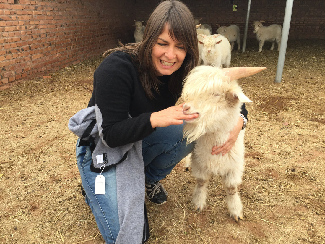 love Kate Cashmere - Your Questions, happily answered